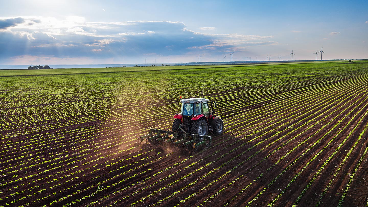Traktor bearbeitet ein großflächiges landwirtschaftliches Feld mit jungen Pflanzenreihen; am Horizont stehen Windräder unter einem weiten Himmel mit Sonnenstrahlen und Wolken.