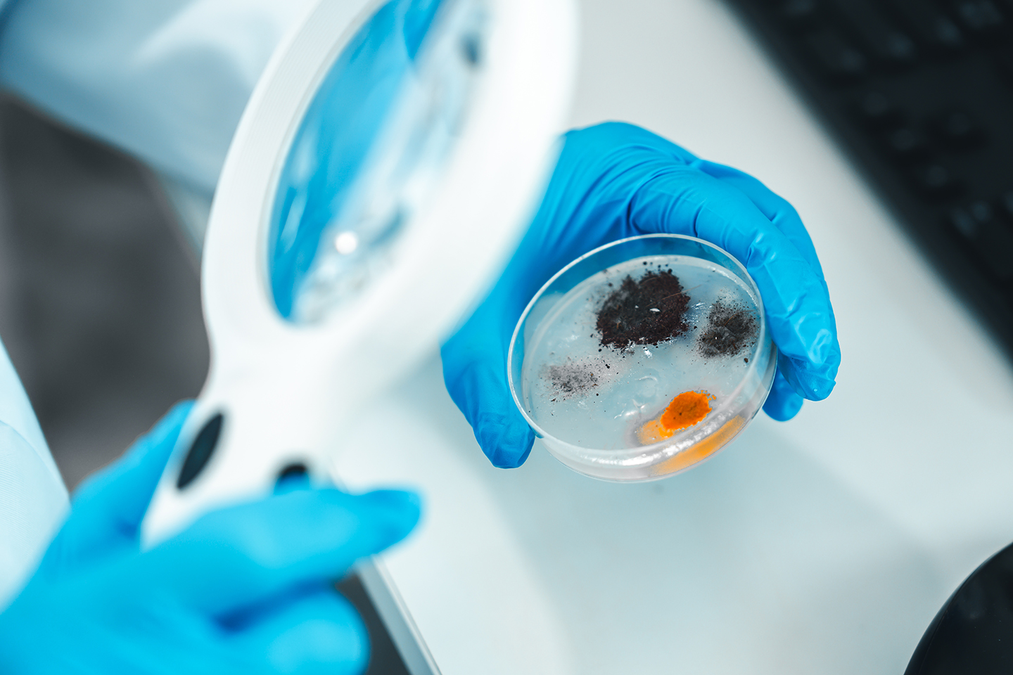 Laborperson mit blauen Handschuhen hält eine Petrischale mit dunklen und orangefarbenen Proben unter einer Laborleuchte zur Untersuchung möglicher Verunreinigungen oder Kontaminationen.